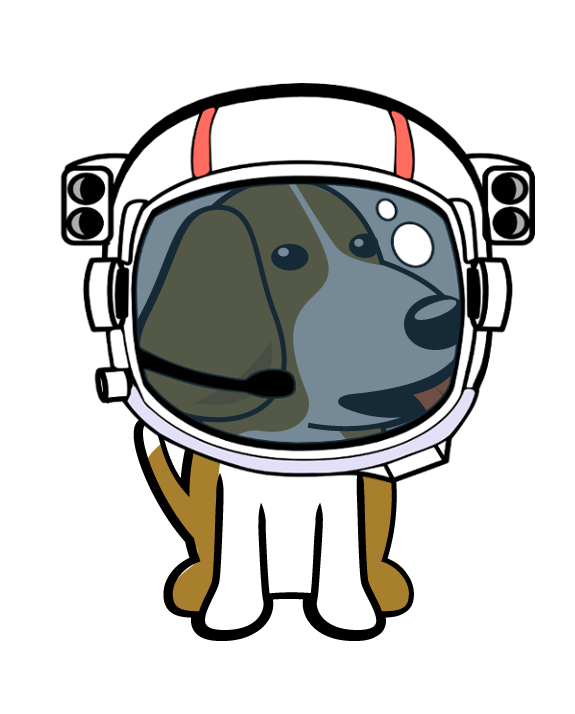 Doggenaut ready for orbit